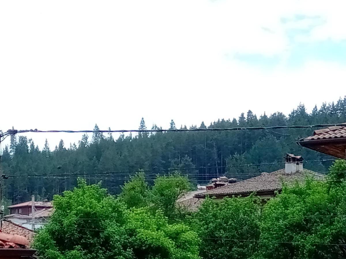 Стаи За Гости Милена Koprivshtitsa Exterior foto